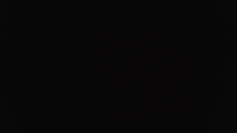   online show from March 2026 12:38:02 PM