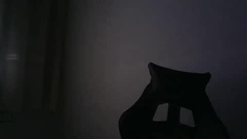 Snapshot of gioshadow chatting on September 2025 11:48:01 AM gioshadow online show from September 2025 11:48:01 AM