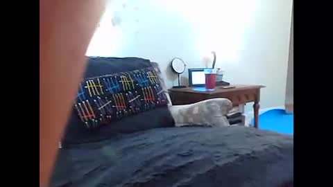 Snapshot of girlnextdoorporno chatting on December 2024 09:45:02 AM Iri online show from December 2024 09:45:02 AM