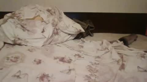 Gisella online show from June 2026 08:09:02 PM