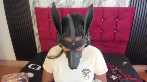 gisellholden_ online show from May 2026 01:17:02 PM