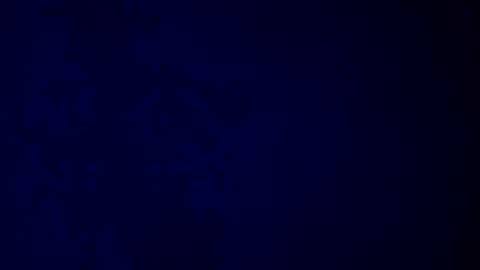 Snapshot of giuseppeciao206 chatting on December 2025 09:25:01 AM elen06 online show from December 2025 09:25:01 AM