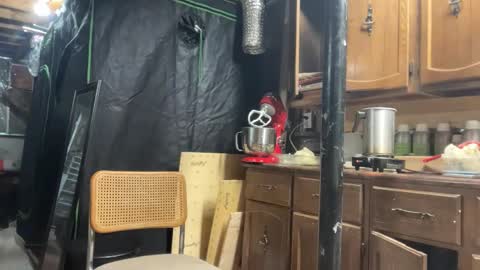 globalmovement online show from March 2026 07:31:01 PM