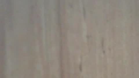 Snapshot of glyder1961 chatting on February 2025 03:41:02 PM Glyder online show from February 2025 03:41:02 PM