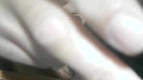 Snapshot of glyder1961 chatting on November 2025 03:33:01 PM Glyder online show from November 2025 03:33:01 PM