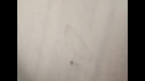 Gman online show from January 2025 07:38:02 PM