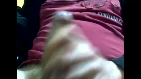 Snapshot of gmjavenger chatting on October 2025 09:15:01 AM PencilDick online show from October 2025 09:15:01 AM