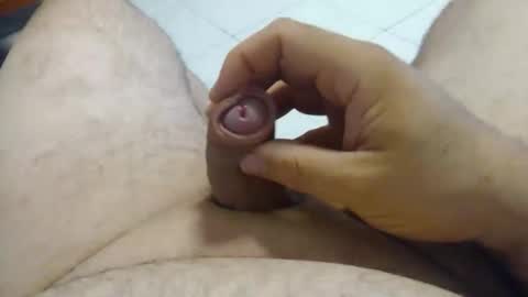 Snapshot of gobnet chatting on November 2025 09:53:01 AM Gobnet online show from November 2025 09:53:01 AM