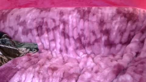 goddess_aaliyah online show from December 2024 10:53:02 AM