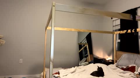 Snapshot of goddessfeyaa chatting on January 2025 11:47:01 PM feyaa22 online show from January 2025 11:47:01 PM