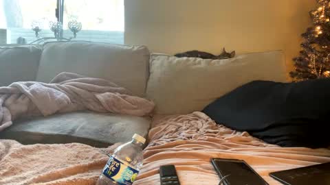 GoddessMayvn online show from December 2024 04:40:02 PM