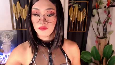quinnie online show from December 2024 12:50:01 AM