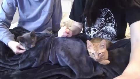 Snapshot of goddessshadowraven chatting on December 2024 11:47:01 PM Goddess Raven online show from December 2024 11:47:01 PM