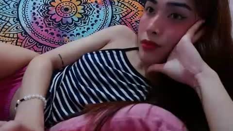 Caulix online show from December 2024 12:30:01 AM