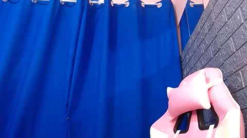 Caulix online show from December 2024 06:43:01 AM