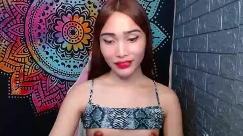 Caulix online show from January 2025 01:15:01 PM