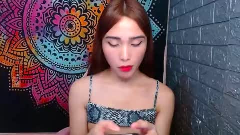 Caulix online show from January 2025 04:30:02 PM