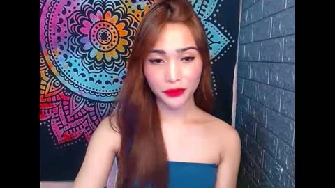 Caulix online show from January 2025 04:19:02 PM