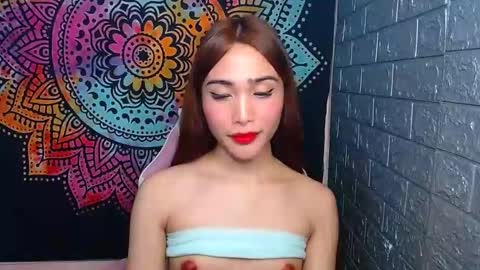 Caulix online show from February 2025 04:56:02 PM