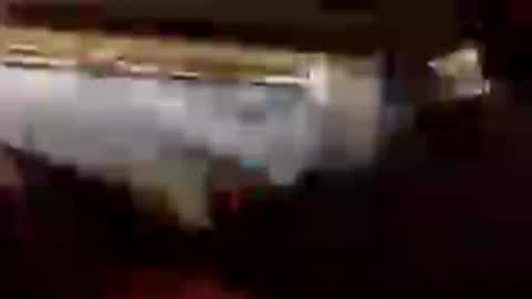 gogome794 online show from June 2026 12:27:01 AM