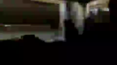 gogome794 online show from July 2026 12:10:01 AM