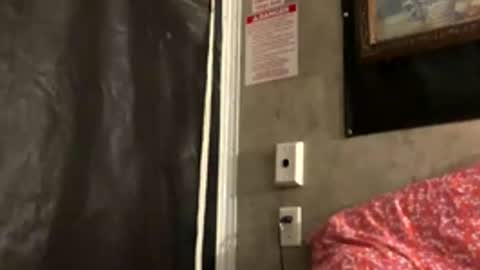 goinwild8900 online show from May 2026 04:51:01 AM
