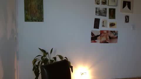 Alaska online show from February 2026 12:15:02 PM