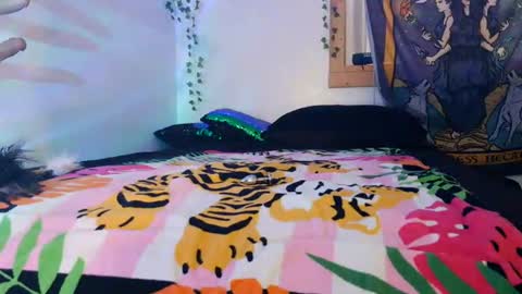 Snapshot of goldendelicious577600 chatting on June 2026 08:51:02 PM XxPretentious PeachxX online show from June 2026 08:51:02 PM