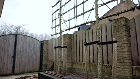   online show from February 2025 10:09:02 AM