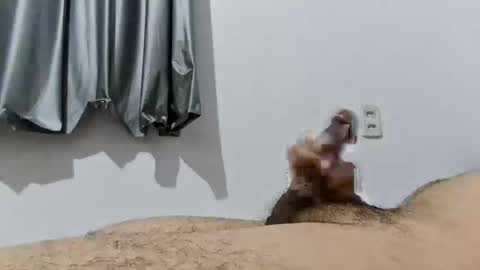 Good boy online show from December 2025 01:23:02 AM