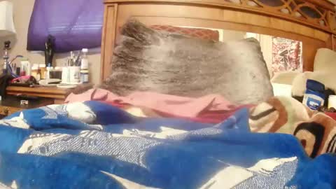 Snapshot of goodbootaye chatting on February 2025 02:46:02 PM Juicy Booty online show from February 2025 02:46:02 PM