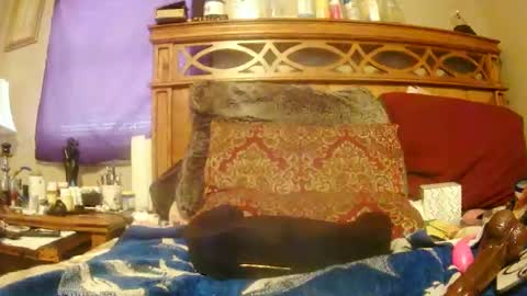 Snapshot of goodbootaye chatting on February 2025 06:42:02 PM Juicy Booty online show from February 2025 06:42:02 PM