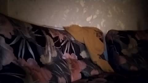 Snapshot of goshawk3 chatting on January 2025 09:17:02 PM Gos Hawk online show from January 2025 09:17:02 PM