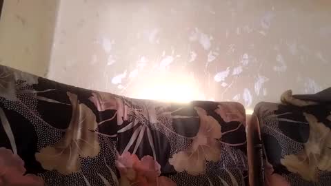 Snapshot of goshawk3 chatting on February 2025 06:42:01 AM Gos Hawk online show from February 2025 06:42:01 AM