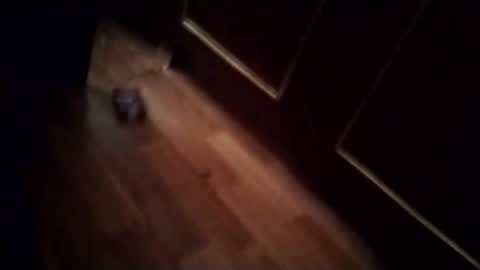 Snapshot of goshawk3 chatting on February 2025 07:54:02 AM Gos Hawk online show from February 2025 07:54:02 AM