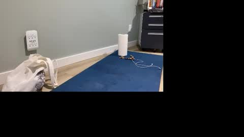 Snapshot of goshlover chatting on November 2025 05:01:02 PM GoshLover online show from November 2025 05:01:02 PM