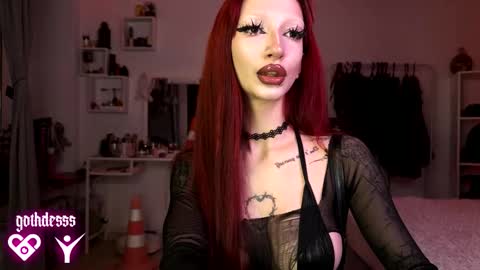    online show from November 2025 04:34:02 AM