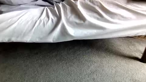 watch me stroke online show from April 2026 04:34:02 PM