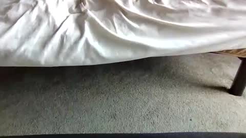 watch me stroke online show from April 2026 07:09:02 PM