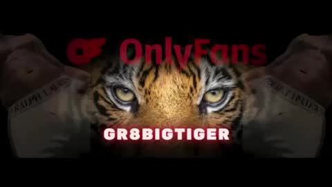 gr8bigtiger online show from October 2025 09:52:01 AM