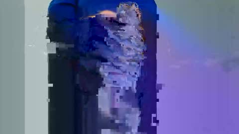 Snapshot of graben78 chatting on November 2025 01:59:02 PM Longwood online show from November 2025 01:59:02 PM