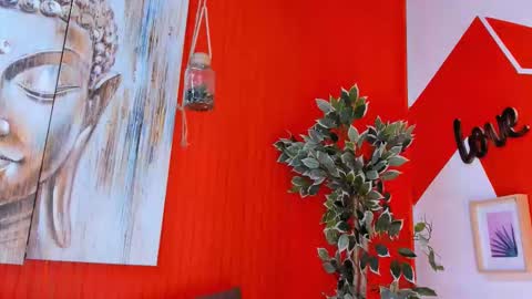 grace online show from November 2025 07:30:02 PM