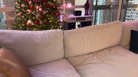 Gracie Mae online show from January 2025 10:23:01 PM