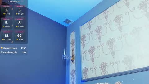 Snapshot of grantblake chatting on February 2025 09:32:02 AM Grant online show from February 2025 09:32:02 AM