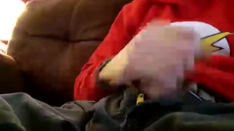 greenbastard78 online show from November 2025 03:47:01 PM