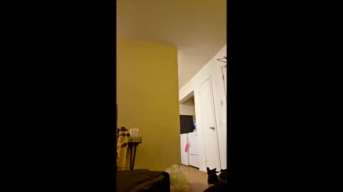 Snapshot of greenvertgo chatting on December 2025 12:59:02 AM greenvertgo online show from December 2025 12:59:02 AM