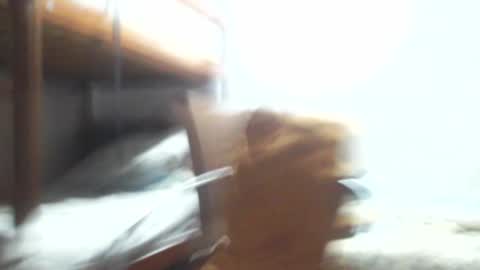 Gregory max online show from January 2025 03:38:02 AM