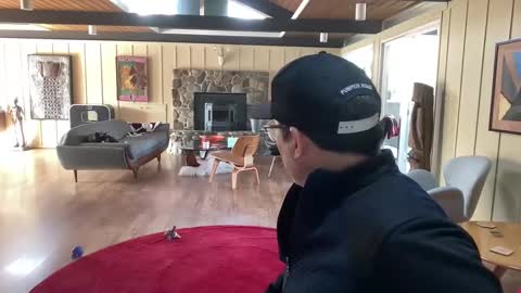 groovycouvie online show from March 2025 10:42:01 PM