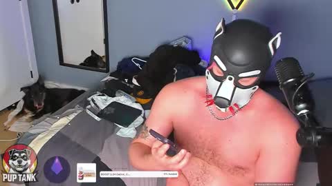 Snapshot of growingcub94 chatting on November 2025 07:35:02 PM Alpha pup online show from November 2025 07:35:02 PM