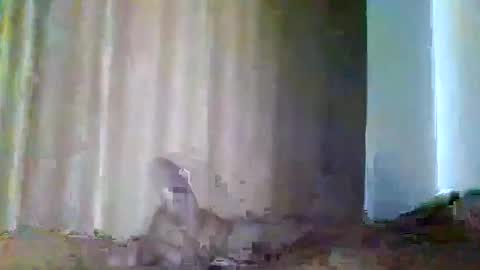 grupalenfection online show from February 2025 01:53:02 PM